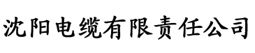 虫小虫app邀请码电缆厂logo